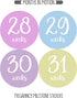 Pregnancy Weekly Belly Growth Stickers, 36 pcs - Purple Pink, Matte Finish, Cloth Surface, for Maternity Photo Sessions & Keepsakes...
