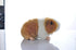 Cute rabbit 8 inch Guinea Pig plush toy stuffed animal toy plush animal doll (orange)...