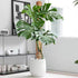Moss Pole -2 Pack 17 Inch Monstera Plant Support for Climbing Plants Accessories Indoor -Stackable Moss Poles Plant Support Stakes -Coir Plant Pol...