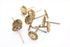 TEMO 10 pc Brass Rotary 3/4 Inch Flat Wire Brush Wheel #535 with 1/8 Inch Shank for Dremel Rotary Tools...