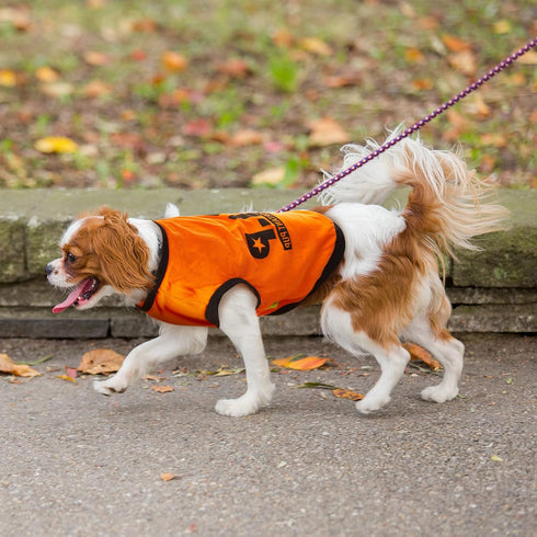 8 Pieces Dog Shirts Boy Funny Printed Puppy Shirts Summer Male Soft Dog Clothes Breathable PET T Shirts Outfits Dog Sweatshirt Clothing (Large)...