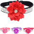 Rhinestone Dog Collar for Small Medium Dogs Black Small Dog Collar for Girl Female Dogs Flower Puppy Collar for Summer Spring Wedding Puppy Neckla...