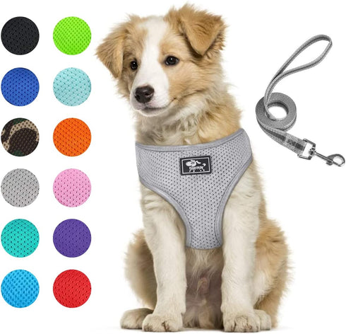 Puppy Harness and Leash Set - Dog Vest Harness for Small Dogs Medium Dogs- Adjustable Reflective Step in Harness for Dogs, Cats - Soft Mesh Comfor...