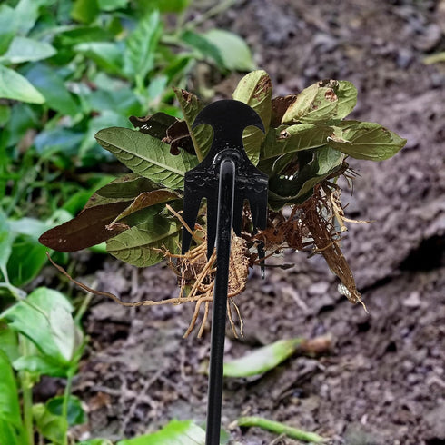 Weed Puller Tool Garden Weed Pulling Tool Portable Garden Weeder Tool Uprooting Weeding Tool 4 Teeth Manganese Steel Forged Hand Weeder for Vegeta...