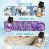 Clean Essential Oils Set, Fragrance Oil Set for Oil Diffusers with Multiple Flavors, Candle Making 6x10ml- Lavender Fields,Fresh Cotton...
