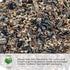 Seed Needs, Italian Herb Seed Packet Collection (5 Individual Seed Varieties for Planting) Non-GMO & Untreated - Oregano, Basil, Rosemary, Sage an...