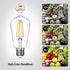Dimmable Edison LED Light Bulbs 60 Watt Equivalent, 6W 2700K Warm Light E26 LED Bulbs for Table Lamp Bathroom Vanity Outdoor Wall Light ST58, 750L...