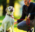 Slip Lead Dog Leash, Strong Dog Leash, 6 FT Heavy Duty Dog Leash, Durable Training Rope Slip Leash with Comfortable Padded Handle and Highly Refle...