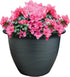 The HC Companies 9 Inch Sevilla Planter - Lightweight Indoor Outdoor Plastic Plant Pot for Herbs and Flowers, Painted Black...