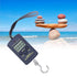 Portable Electronic Scale Mini 40kg-10g Weighting Steelyard with Hanging Hook WH?A01L...