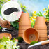 Flower Pot Hole Mesh Pad, Bonsai Pot Bottom Grid Mat Mesh, 2 Inch Flower Plant Succulent Pot Hole Mesh Pad Drainage Mesh Hole Screen Gasket Preven...