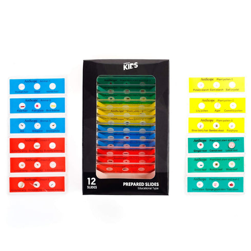 AmScope - 36pc Kids Prepared Microscope Slide Set of Color-Coded Zoological and Botanical Prepared Specimen Slides -PS-P12X3-A...