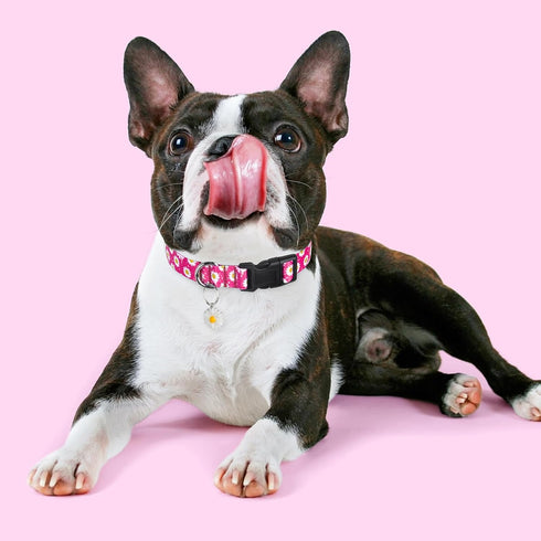 BiPawTi Floral Dog Collars for Large Dog - Soft Cute Dog Collars for Girls Dog Pretty Flower Collar with Daisies Charms, Gift for Female Male Boys...