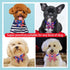 24PCS 4th of July Dog Bow Tie Collar, Independence Day Pet Bow Tie, Adjustable Star Stripe Collar, Patriotic Memorial Day Pet Bow Tie...