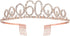Rose Gold Birthday Sash Crown 60 & Fabulous Sash and Tiara for Women, Gifts for Happy 60th Birthday Party Favor Supplies...