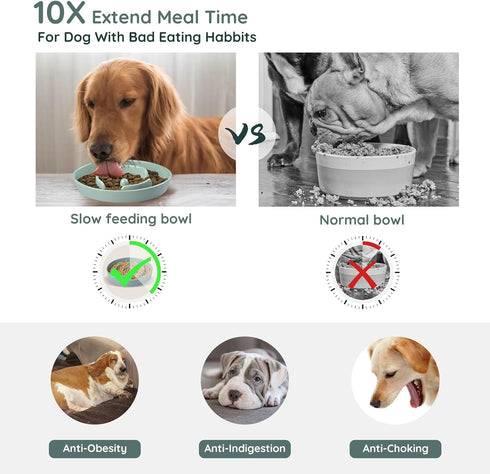 SPUNKYJUNKY Slow Feeder Ceramic Dog Bowls for Small Breed Slow Down Eating Anti-Choking Dishes Slow Feeding for Fun Pet Bowl(10OZ Bowl,Light Green...