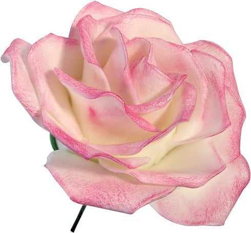 PME JEM Easy Rose Fondant Cutters, Set of 3, Standard, White...