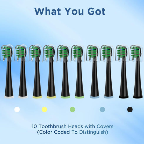 Replacement Toothbrush Heads for All Waterpik Sonic Fusion Models (SF-01, SF-02, SF-03, and SF-04 Series), Compact, with Covers, 10 Count, Black...