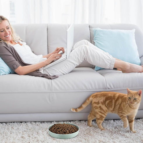 2 Pcs Cat Slow Feeder Bowl Cat Fish Pool Design Feeder Cat Dish Fun Interactive Cat Food Bowl Feeder Healthy Eating Diet Cat Bowls for Pet Cats Pu...