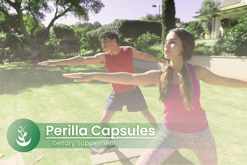 PURE ORIGINAL INGREDIENTS Perilla, (100 Capsules) Always Pure, No Additives or Fillers, Lab Verified...