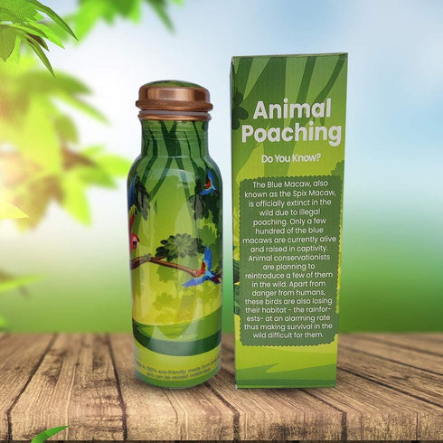 EcoBottles – 100% Pure Copper Water Bottles | Easy-To-Use and Carry, Fancy Prints | Non-Insulated Bottles with Health Benefits and Emphasizing on ...