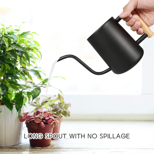 Watering Can for Indoor Plants, 35 oz/1000 ml Metal Stainless Steel Pot with Long Spout for House Plants Bonsai Outdoor Garden Flower Decorative (...