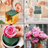 LOMIMOS 5PCS Wet Floral Foam Bricks,Florist Green Blocks Supplies for Flower Arrangement DIY Craft...