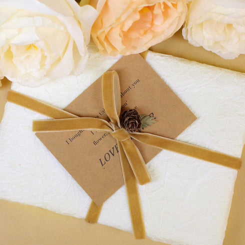 Velvet Ribbon 3/8 inch x 25Yd Fabric Ribbon for Gift Wrapping Wreath Decoration Handmade Crafts Bow Making (Khaki)...