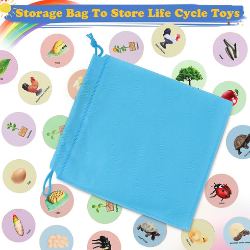Life Cycle Toys for Kids, Learning & Educational Science Kits, Preschool Learning Toys for Toddler Age 3 4 5 6 7 8...