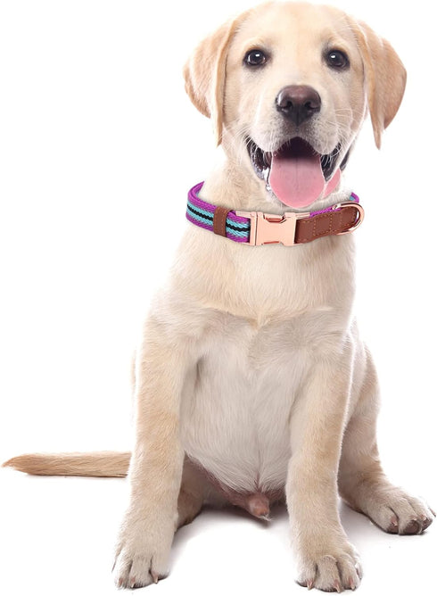 Dog Collar Reflective, Multi-Colored Stripe Dog Collar, Soft Adjustable Dog Collars with Metal Buckle for Small Medium Large Dogs, Perfect Pet Col...