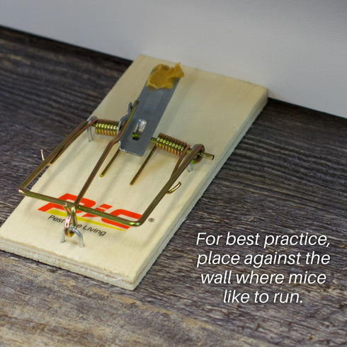 PIC RTW-1INN Wood Rat Trap...