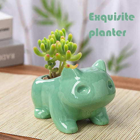 3 Pack Succulent Plant Pots, Ceramic Planters Mini Cute Animal Planters for Potted Plants Cactus Flowers Home Decor Crafts Gifts...