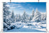 BELECO 5x3ft Fabric Winter Snow Forest Backdrop Majestic White Xmas Tree Wintry Scene Alps Photography Backdrop for Christmas New Year Event Party...