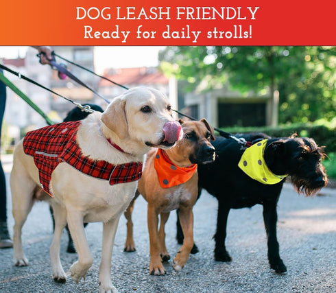 SPOT THE DOG! Reflective Dog Bandanas - High Visibility Tie-On Safety Dog Accessories for Small, Large Dogs, Orange Collar, Scarf, Kerchief, Bib f...