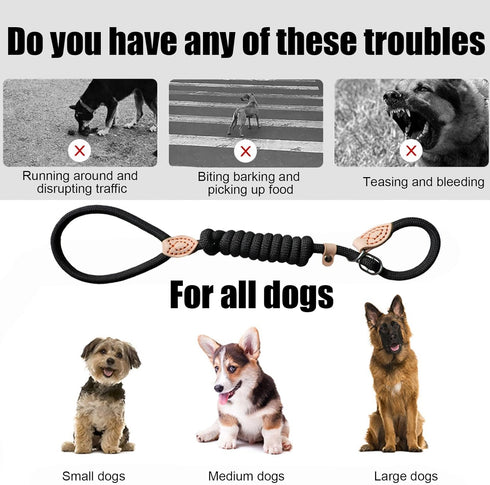 Dog Slip Leads 4.92ft Long Comfort Nylon Heavy Duty Dog Leash Durable Dog Leash with Adjustable Slipknot to Fit Medium or Large Dog Breeds Dog Rop...