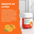 Nature's Key Lutein Gummies 12mg with Zeaxanthin & Vitamin A for Kids and Adults | Eye Health and Brain Function Supplement | Orange Flavor, 60Ct...