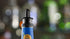 Tablecraft Free Flow Pourers, 2.5 x 1.25 Inch, 12 Count, Black...