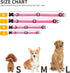 Lionet Paws Waterproof Dog Collar,Gradient Reflective Pink Collar for Small Medium Dog,Safety Buckle Dog Collar for Dog Girl Boy Gift,XS, Neck 8-1...