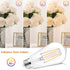 PARTPHONER LED Light Bulbs Dimmable Vintage Edison Bulb, E26 LED Bulb 60W Equivalent 720 Lumens, Warm White 2700K, ST58 Antique LED Filament Bulb ...