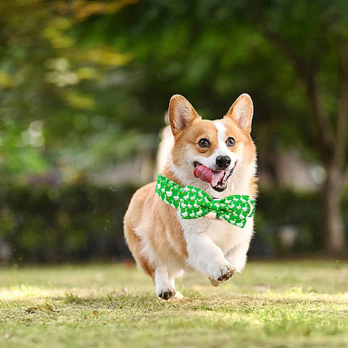 Dog Collar Green Gooses Dog Collar Pet Collar Dog Summer Collar Holiday Dog Collar Girl or Boy Pet Dog Collar Adjustable Dog Collar for X-Small Do...