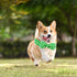 Dog Collar Green Gooses Dog Collar Pet Collar Dog Summer Collar Holiday Dog Collar Girl or Boy Pet Dog Collar Adjustable Dog Collar for X-Small Do...