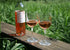 Portable Collapsible Plastic Wine Glass (BPA Free) with a Safety Carrier 1pcs (Transparent)...
