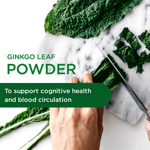 EMERALD LABS Ginkgo Biloba Extract - Brain Health Supplement - Offers Antioxidant & Energy Support - 60 Vegetable Capsules (30-Day Supply)...
