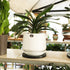 8" Bonsai Turntable Heavy Duty Rotating Garden Swivel Stand for easy Trimming and Displaying Potted Plant...
