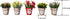 LUEUR Set of 6 Potted Artificial Flowers Fake Flowers with Vase Faux Flowers in Pot, Spring Decor for Home Office Floral Arrangement for Table Din...