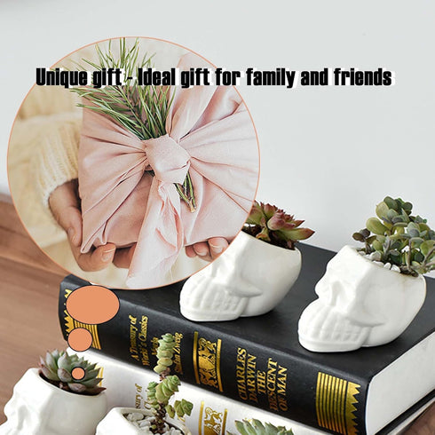 2PCS White and Black Skull Succulent Planter Pots Set, Creative Plant Lover Gifts Cactus Plant Pot Pen Pencil Holder for Home Office Decor (Black ...