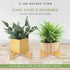 Bamboo Plant Stand Indoor Outdoor, Wooden Flower Pot Stand Fit 6 Inch Pots, Modern Planter Stand, Single Plant Holder Riser Rack Shelf for Patio H...