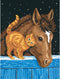 Dimensions Pony and Kitten Paint by Numbers for Adults, 9'' W x 12'' L...