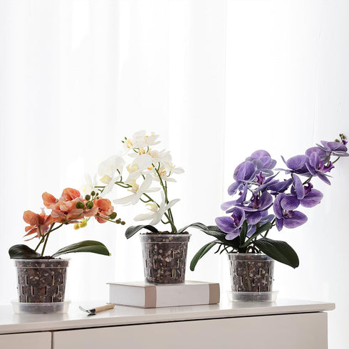 TRUEDAYS 6 Pack Orchid Pot with Saucers Garden Pot 5 Inch Clear Plastic Plant Pots with Drainage Holes for Indoor Outdoor Plants...