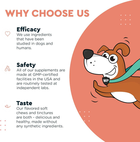 Skin & Coat Supplement for Dogs with Salmon Oil, Omega 3 & 6, EPA & DHA, Promotes Healthy Skin and Coat, Itchy Relief, Joint and Overall Health, D...